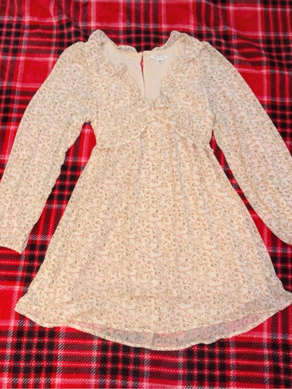 American Eagle Outfitters Cream Pink Floral Ruffle Dress